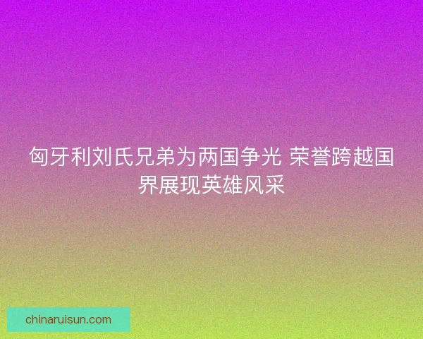 匈牙利刘氏兄弟为两国争光 荣誉跨越国界展现英雄风采