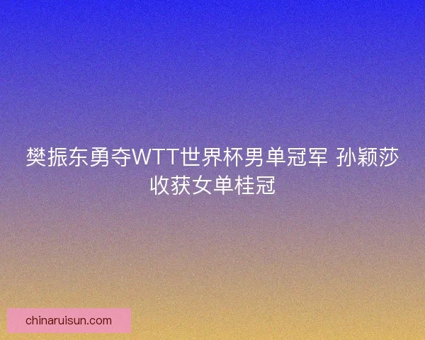 樊振东勇夺WTT世界杯男单冠军 孙颖莎收获女单桂冠