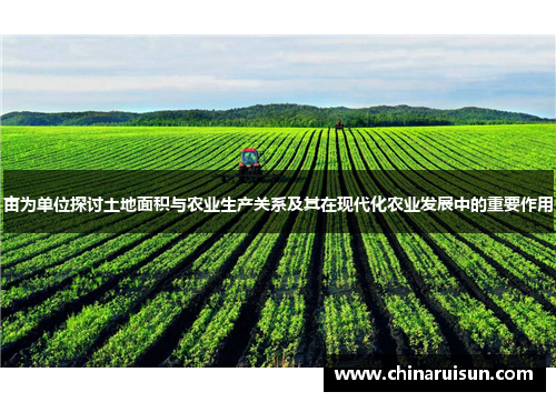 亩为单位探讨土地面积与农业生产关系及其在现代化农业发展中的重要作用