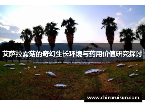 艾萨拉雾菇的奇幻生长环境与药用价值研究探讨